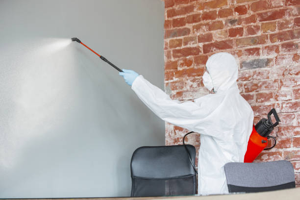 Best Mold-Related Health Consultation  in Salamatof, AK
